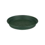 green basics saucer 14cm leaf green